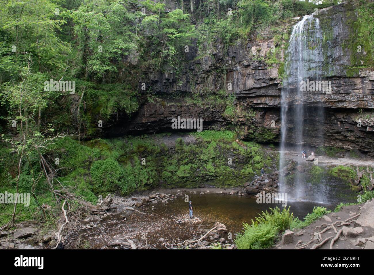 Henrhyd Falls, Powys, pays de Galles, Royaume-Uni Banque D'Images