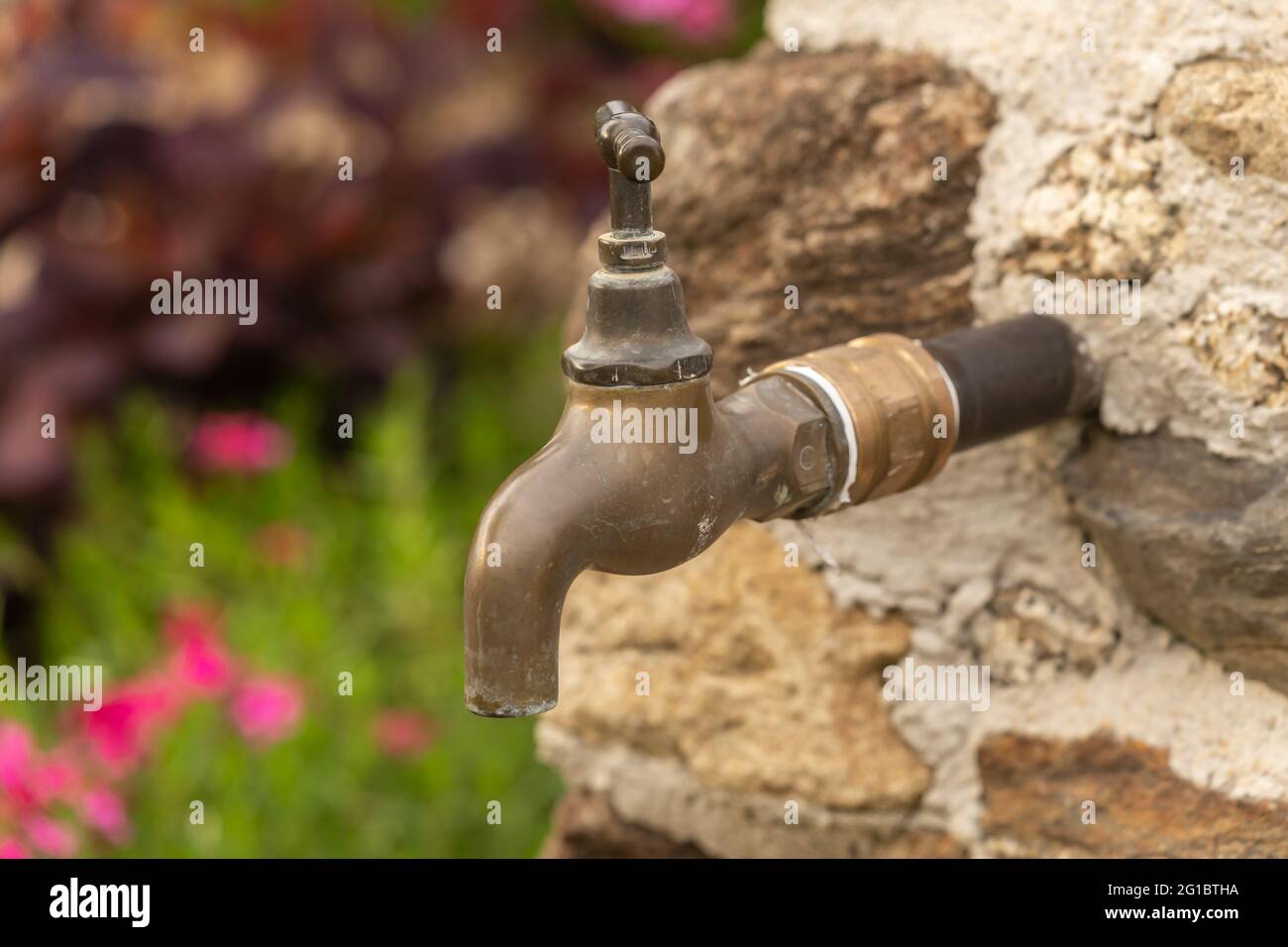 Un robinet dans un mur de pierre comme source d'eau dans un jardin Banque D'Images