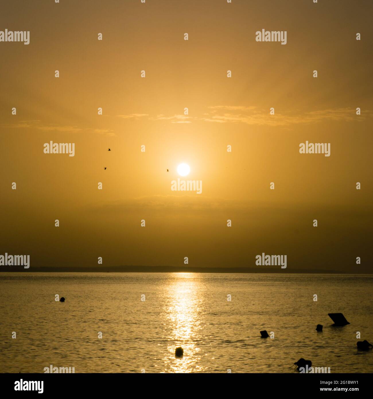 Lever de soleil lumineux avec grand soleil jaune avec des rayons sous la surface de la mer avec silhouette d'oiseaux, Lagos, Portugal Banque D'Images