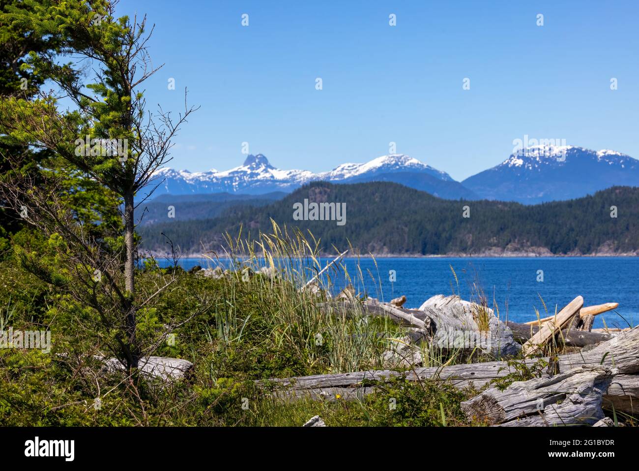 Rebecca Spit Marine provincial Park, Quadra Island, qui regarde la chaîne de montagnes côtière sur le continent de la Colombie-Britannique, Canada Banque D'Images