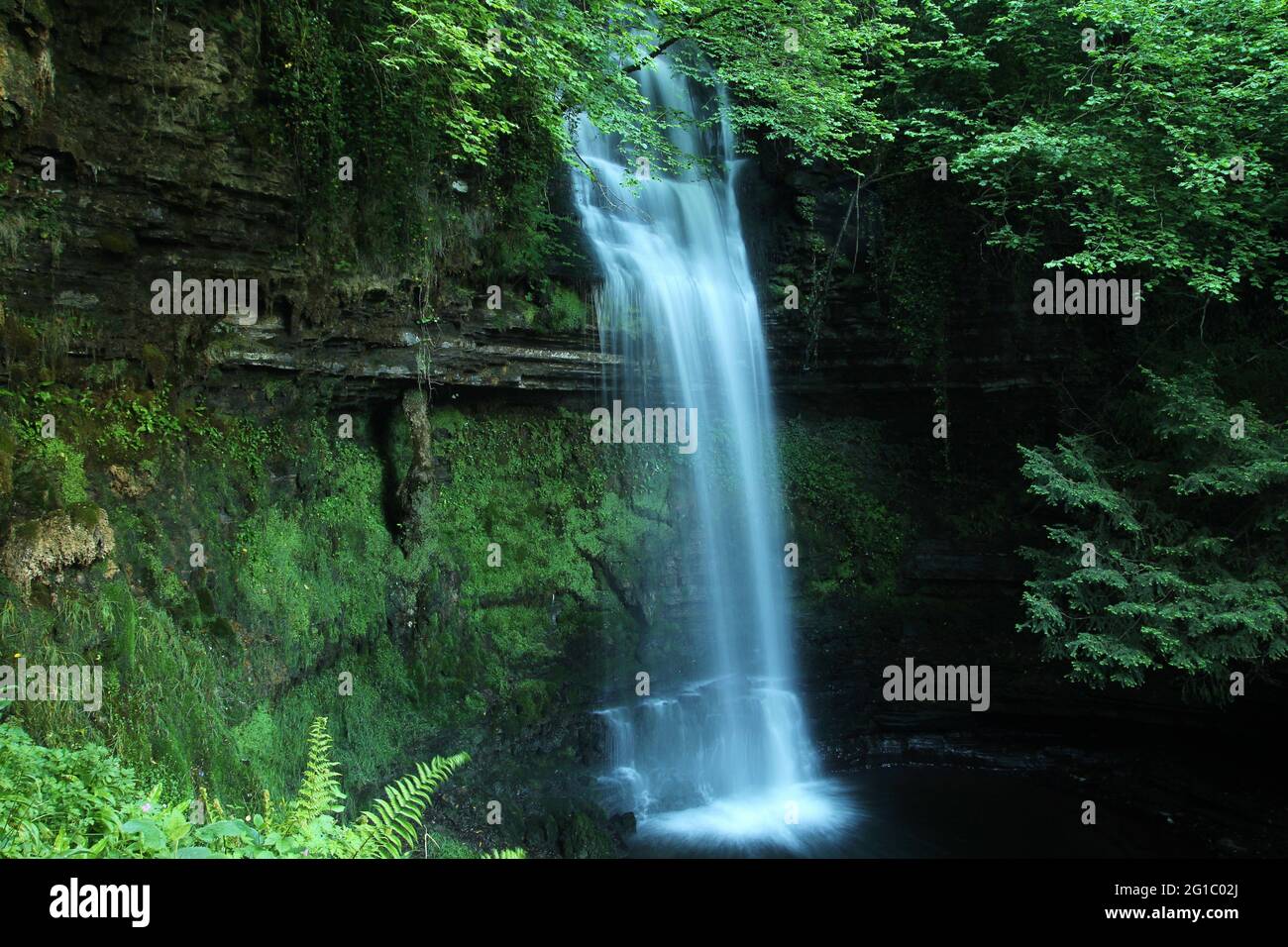 Glencar Waterfall, un parc aquatique situé dans la forêt près de Glencar Lough dans le comté de Leitrim, irelan Banque D'Images