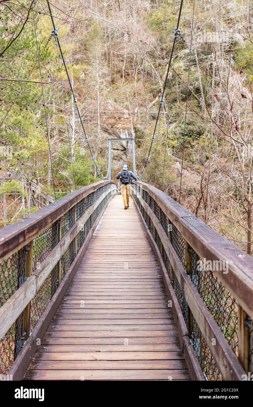 Mountaineer marchant sur un pont suspendu en bois dans la forêt Banque D'Images