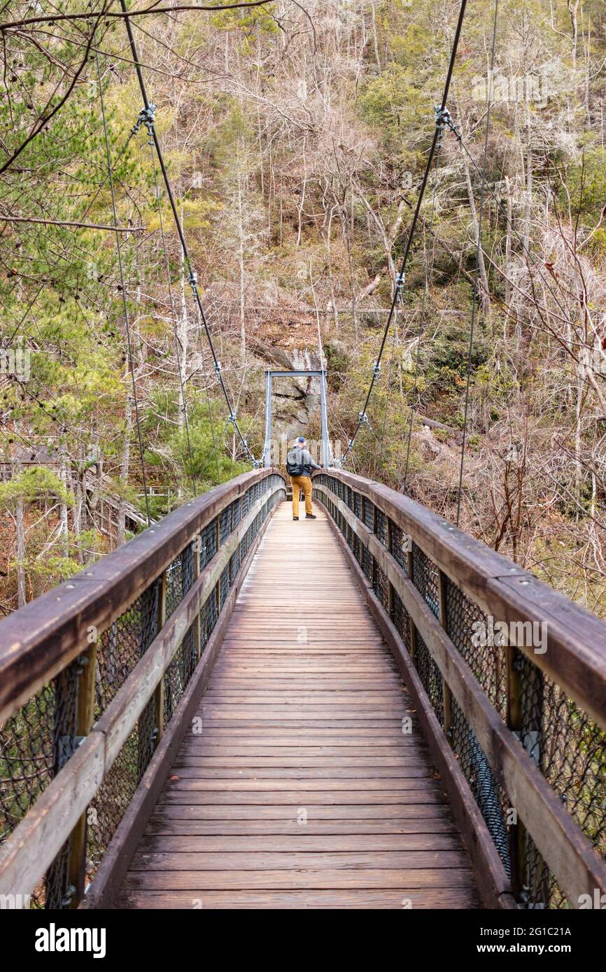 Mountaineer marchant sur un pont suspendu en bois dans la forêt Banque D'Images