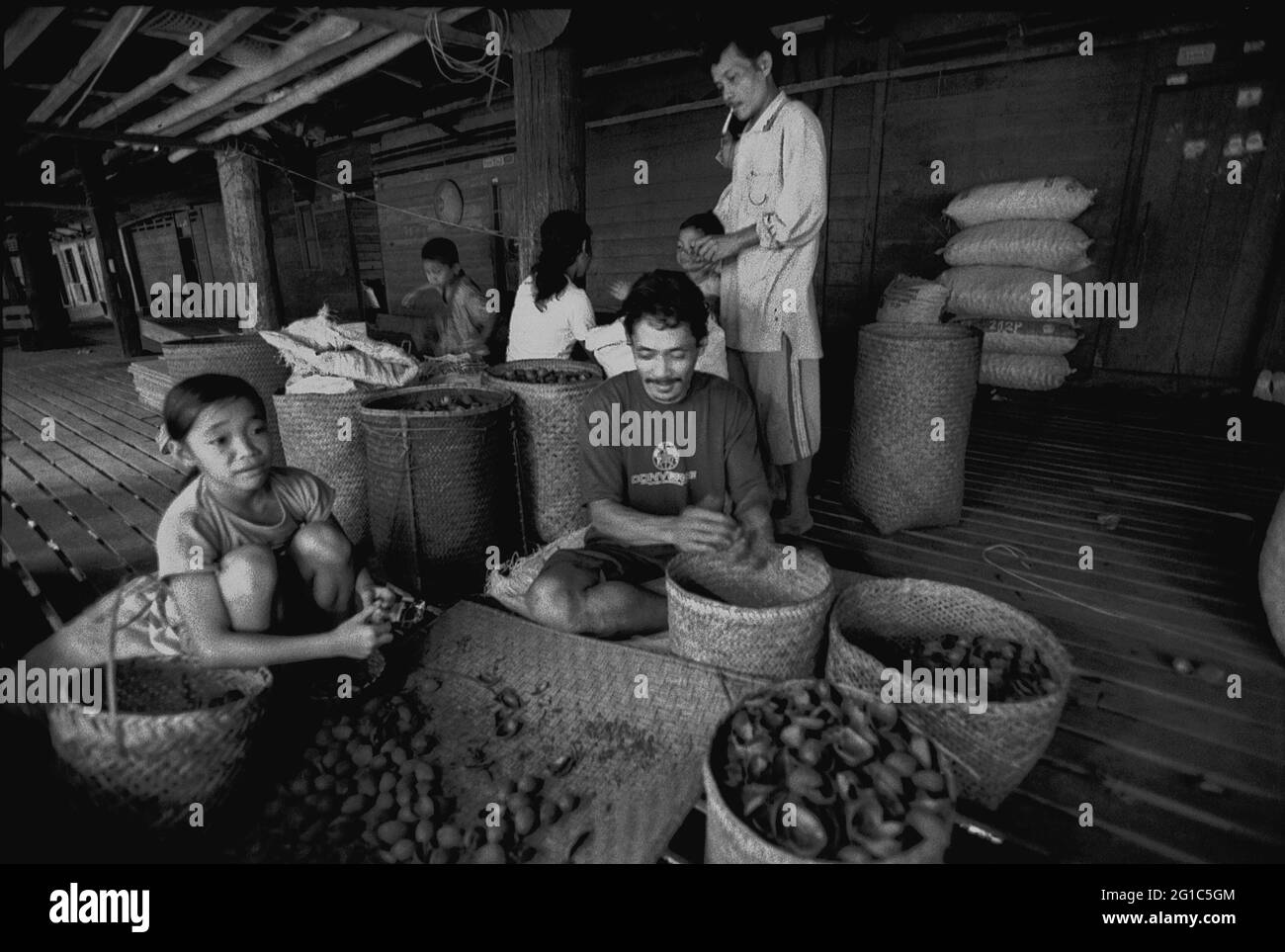 Sungai Uluk Palin, Kapuas Hulu, Kalimantan occidental, Indonésie. Mars 2007. Un homme et un enfant qui retire des coquilles de noix de suif Borneo (tengkawang) à la maison de la communauté de Dayak Tamambaloh à Uluk Palin.--photographiés sur film noir et blanc, scannés, numérisés. Banque D'Images