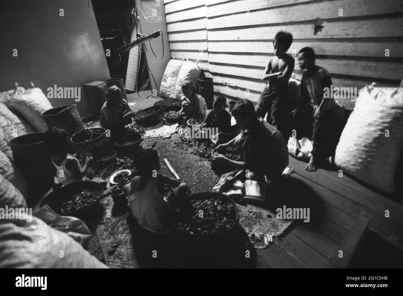 Sungai Uluk Palin, Kapuas Hulu, Kalimantan occidental, Indonésie. Mars 2007. Des femmes et des enfants enlevant des coquilles de noix de suif de Bornéo (tengkawang) dans la maison de la communauté de Dayak Tamambaloh dans le village d'Uluk Palin (Sungulo Palin).--photographiés sur film noir et blanc, scannés, numérisés. Banque D'Images