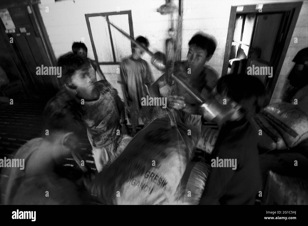 Sungai Uluk Palin, Kapuas Hulu, Kalimantan occidental, Indonésie. Mars 2007. Des hommes mettant à l'échelle des noix de suif de Bornéo (tengkawang) emballés dans de grands sacs à la maison de la communauté de Dayak Tamambaloh à Uluk Palin.--photographiés sur film noir et blanc, scannés, numérisés. Banque D'Images