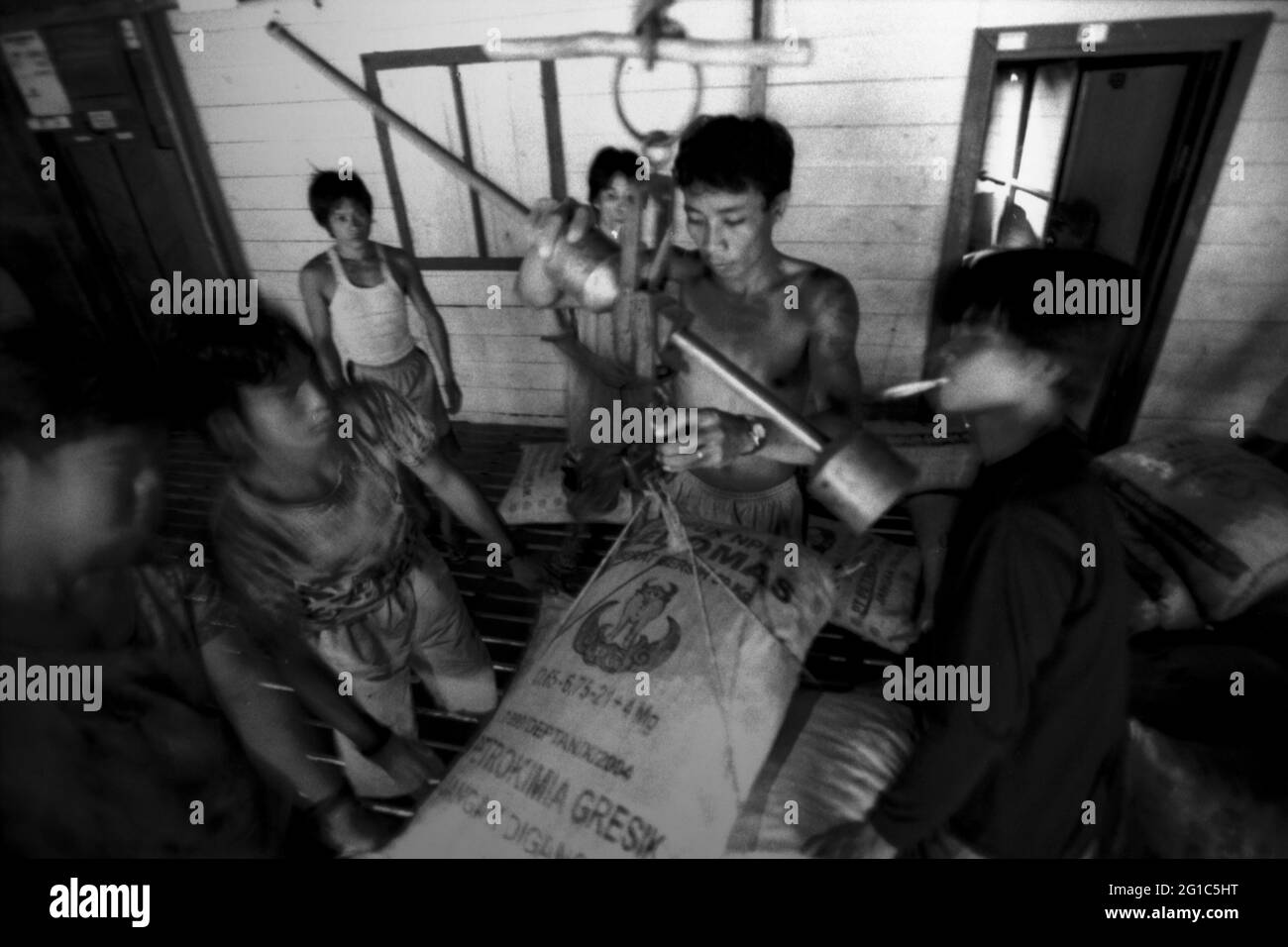 Sungai Uluk Palin, Kapuas Hulu, Kalimantan occidental, Indonésie. Mars 2007. Des hommes mettant à l'échelle des noix de suif de Bornéo (tengkawang) emballés dans de grands sacs à la maison de la communauté de Dayak Tamambaloh à Uluk Palin.--photographiés sur film noir et blanc, scannés, numérisés. Banque D'Images
