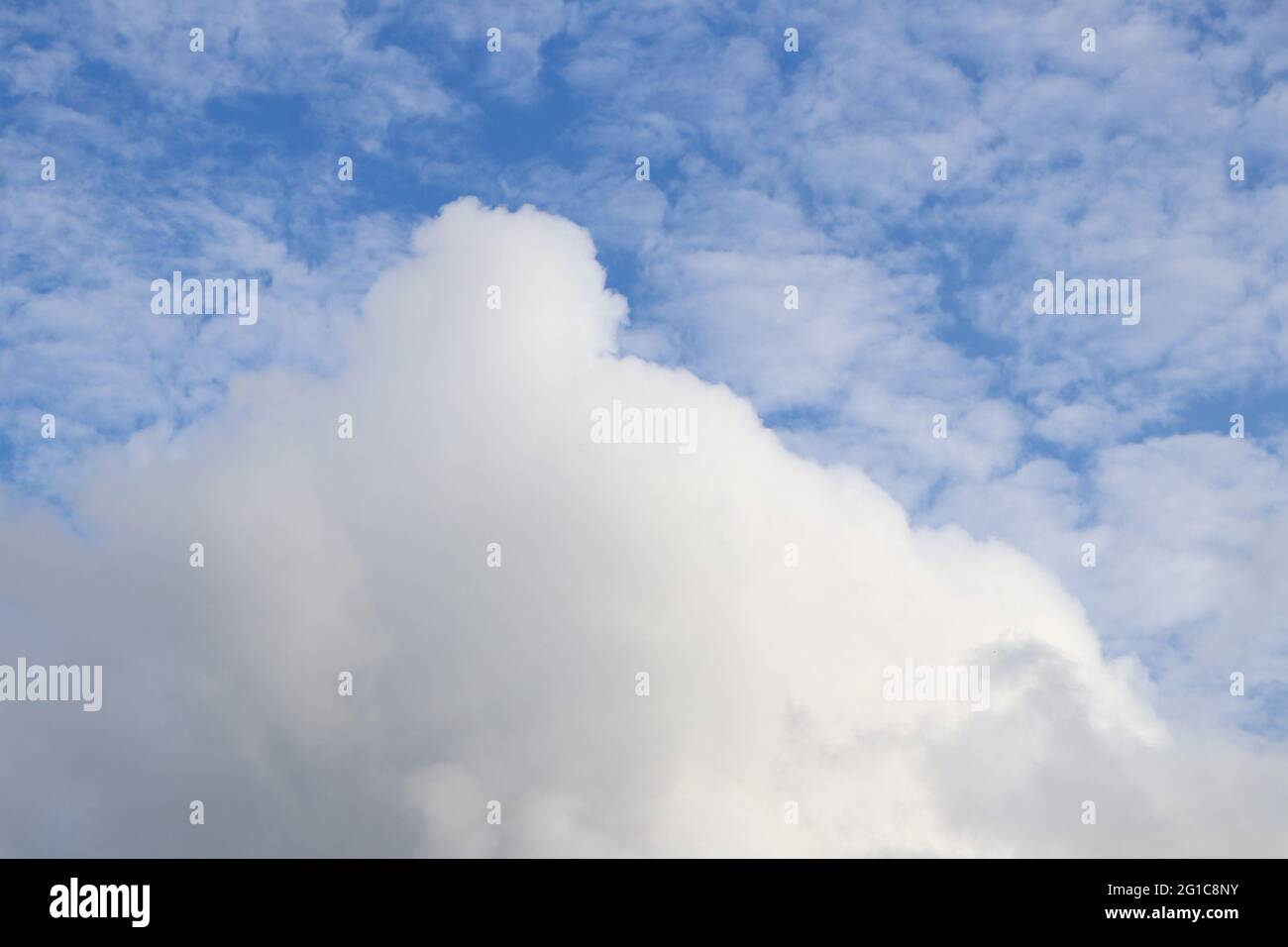 coton blanc bouffé comme les nuages formant des motifs dans le ciel bleu pendant la journée Banque D'Images