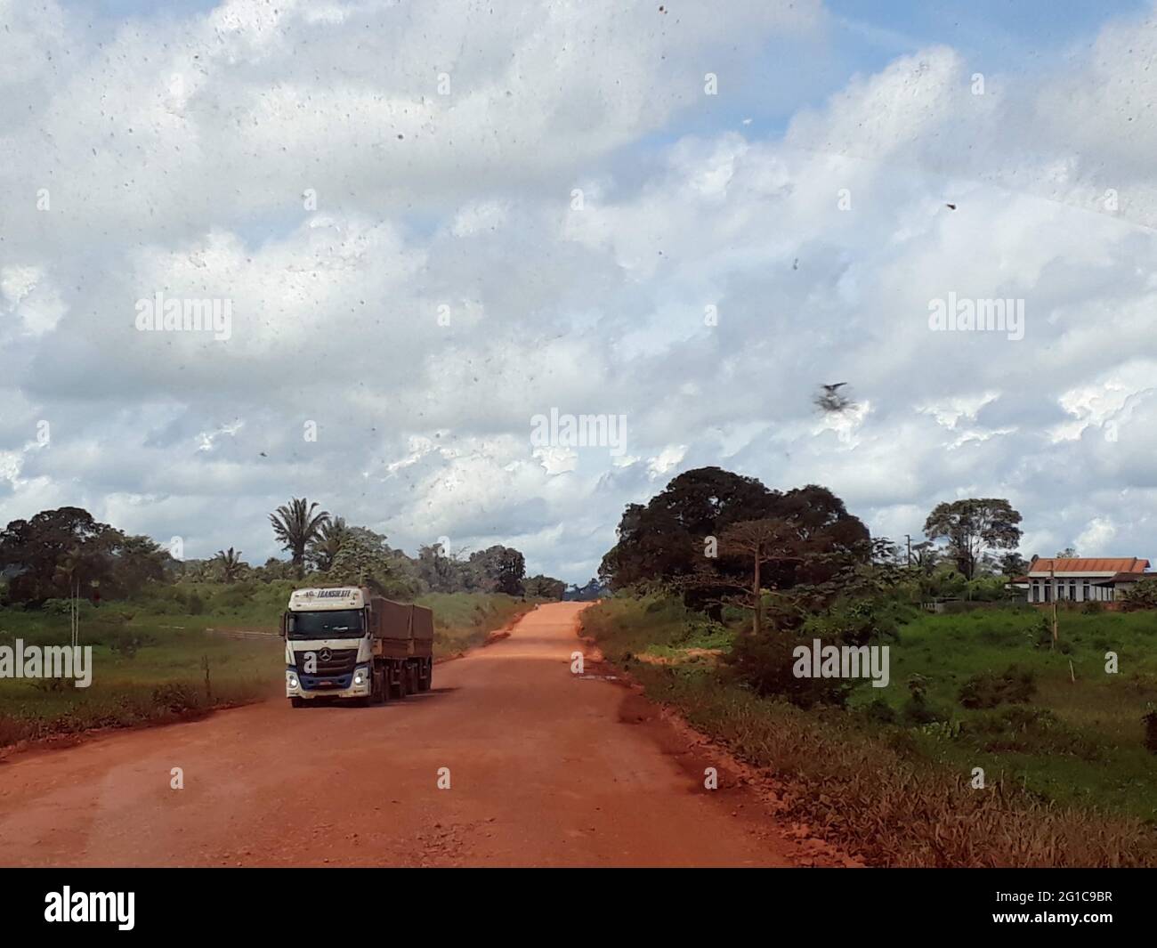 Brésil. 21 mai 2019. Les camions transportent le soja via la route BR-163 depuis les zones de culture du sud de l'Amazonie brésilienne jusqu'aux ports du nord. Les navires transportent le soja des ports vers l'Europe. Credit: Martina Farmbauer/dpa/Alay Live News Banque D'Images