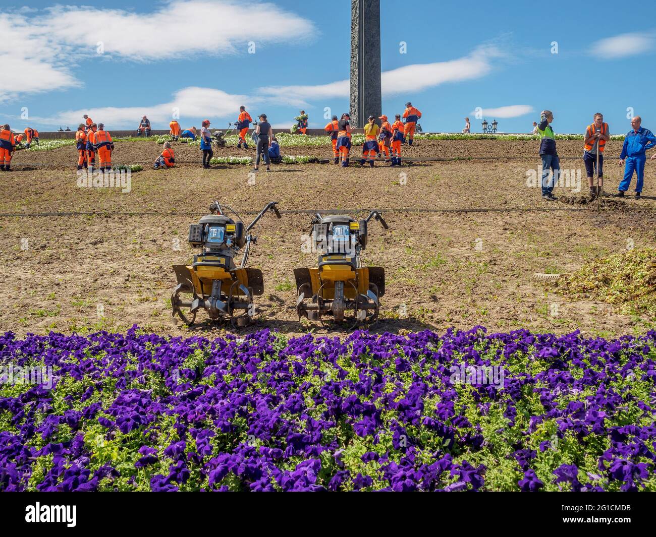 Moscou. Russie. 5 juin 2021. Mise au point sélective sur les blocs moteurs manuels sur le lit de flux. Les travailleurs communaux plantent des fleurs de petunia par un beau jour d'été. Banque D'Images