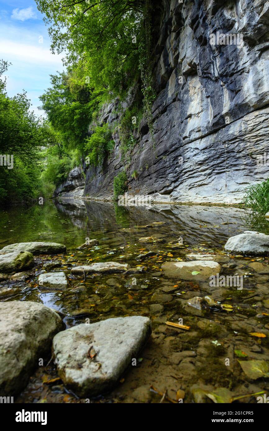 Petit ruisseau transparent dans une journée ensoleillée dans la forêt Banque D'Images