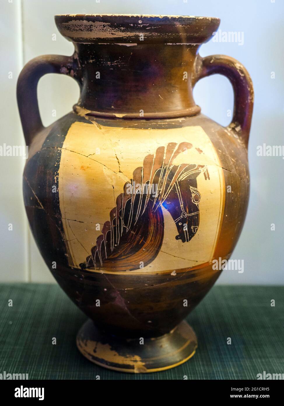 Amphore noire à la tête d'un cheval dans un espace non vitré fait à Athènes - Laghetto, Tomb 52 (550 av. J.-C.) - zone archéologique de Paestum - Salerno, Italie Banque D'Images