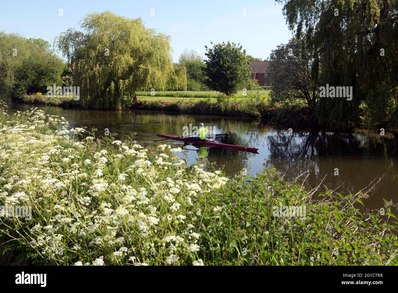 Un rameur sur la rivière Avon près de Stratford-upon-Avon, Warwickshire, Angleterre, Royaume-Uni Banque D'Images