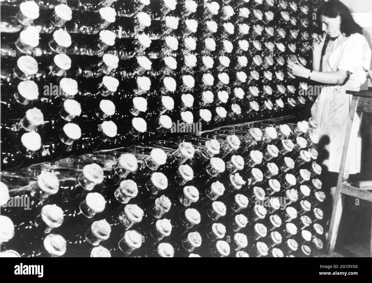 Médecine, médicaments, Peniciline, production, culture en flacon P, années 1950, AUTORISATION-DROITS-SUPPLÉMENTAIRES-INFO-NON-DISPONIBLE Banque D'Images