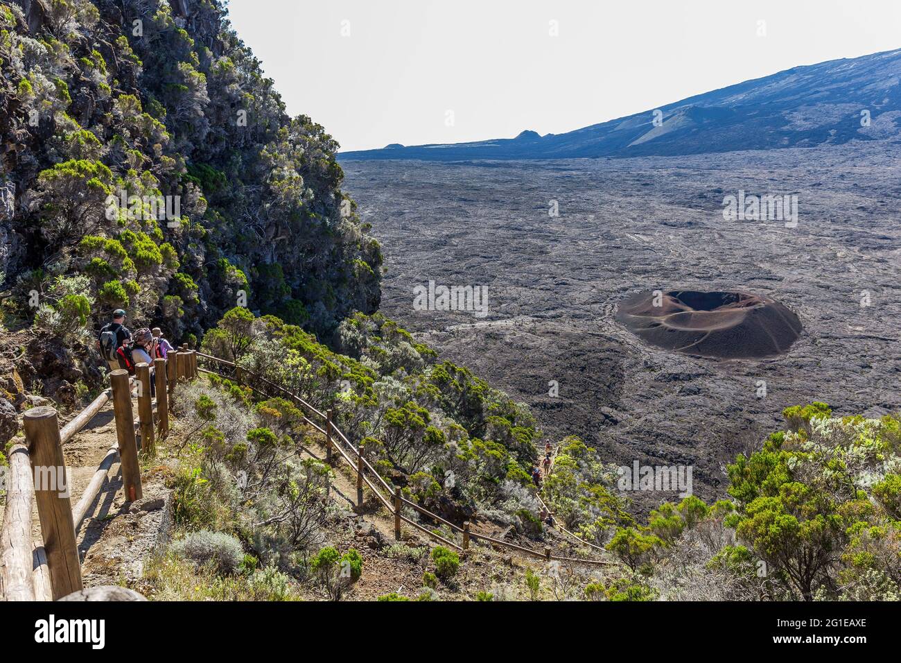 FRANCE. ILE DE LA RÉUNION, PITON DE LA FOURNAISE, VOLCAN, FORMICA LEO Banque D'Images