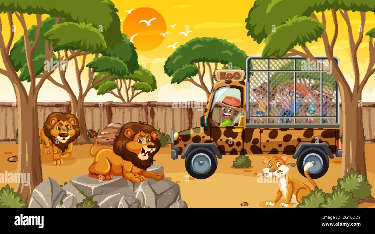 Safari au coucher du soleil avec de nombreux enfants regardant l'illustration de groupes de lions Illustration de Vecteur