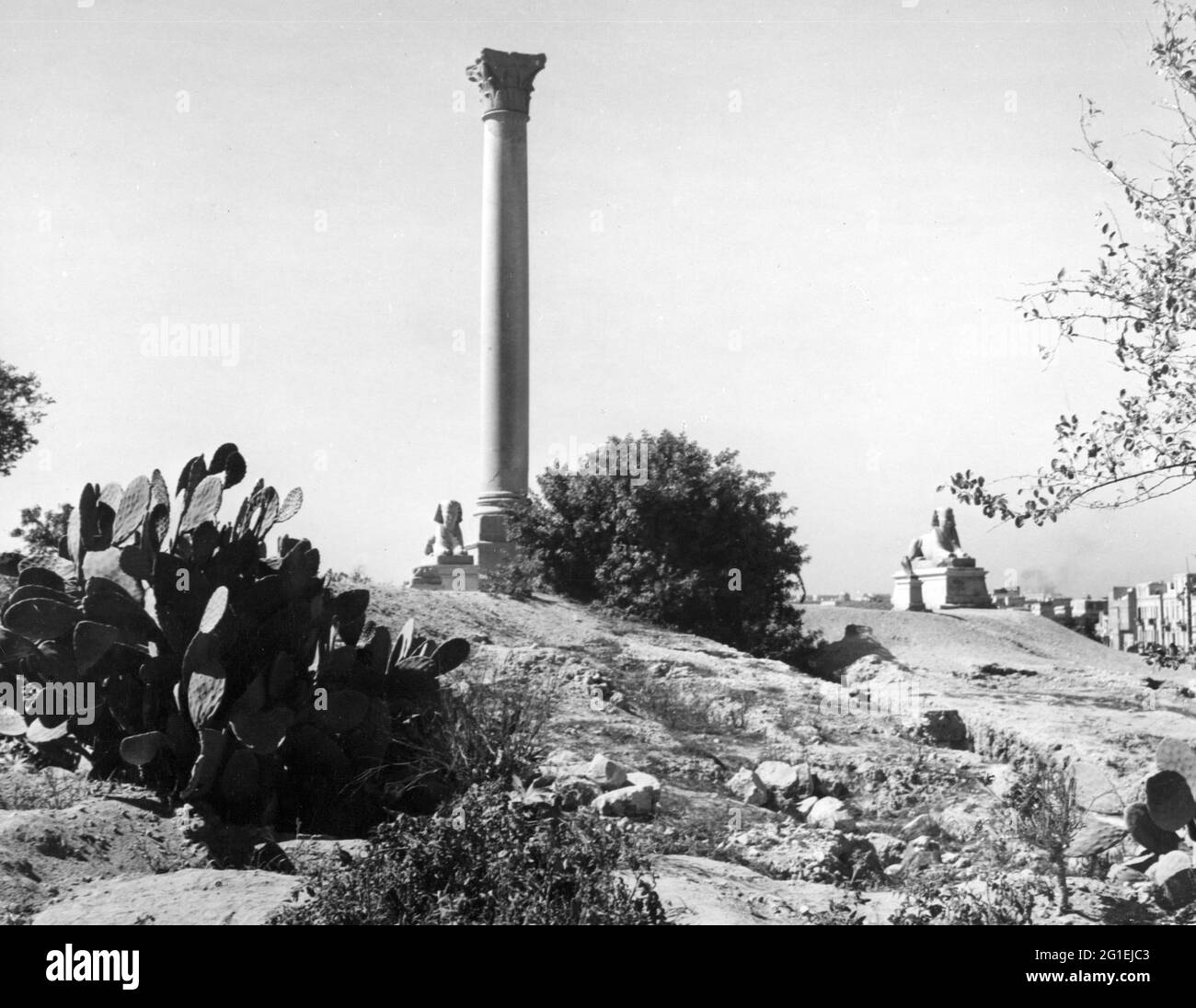 Géographie / Voyage historique, Egypte, villes et communautés, Alexandrie, Pompey's Pillar, INFO-AUTORISATION-DROITS-SUPPLÉMENTAIRES-NON-DISPONIBLE Banque D'Images