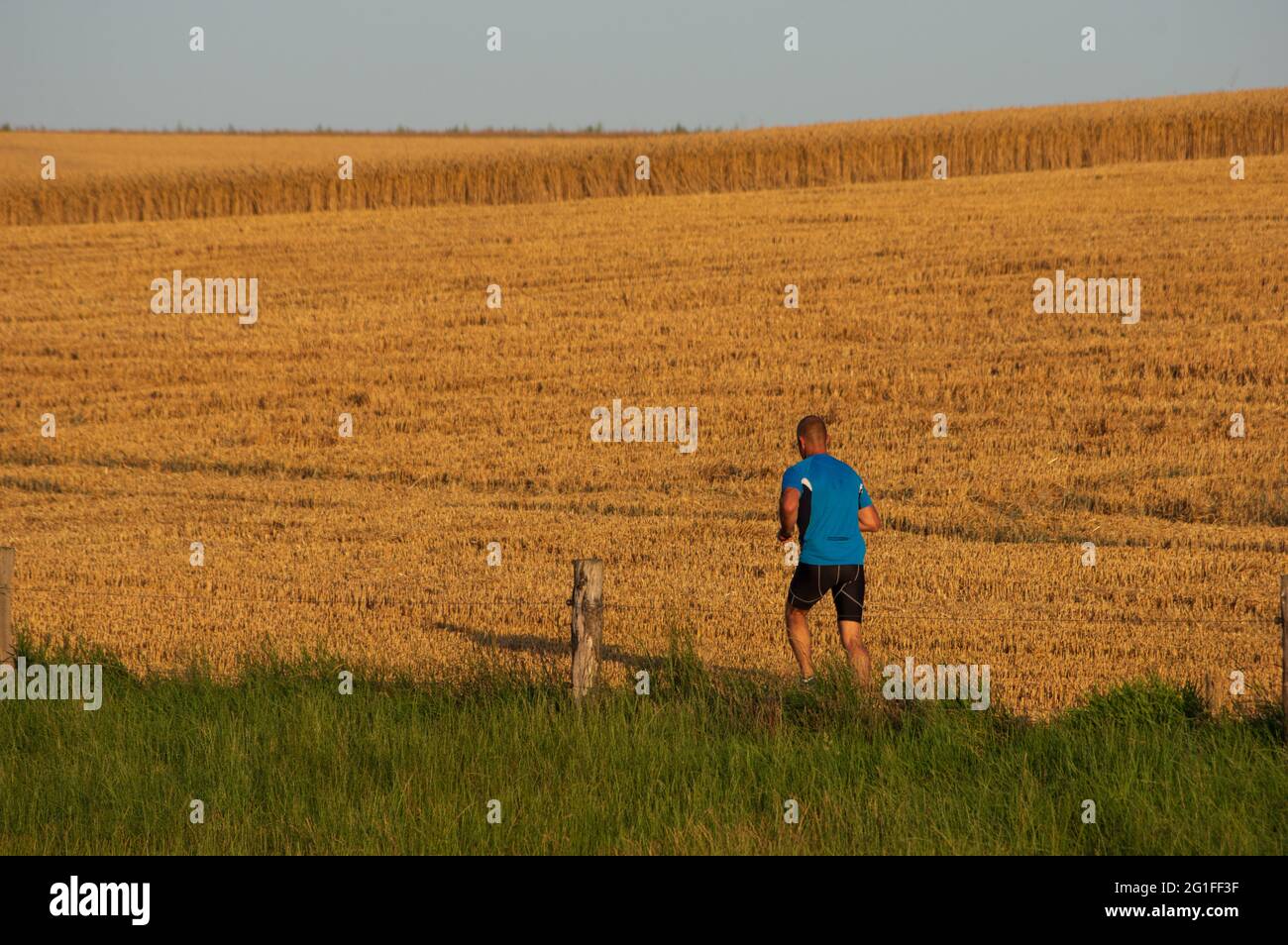 Vue de l'arrière d'un homme dans des vêtements de remise en forme courant au lever du soleil du matin sur un champ de céréales récoltées. Concept de santé, forme physique, agilité. Banque D'Images