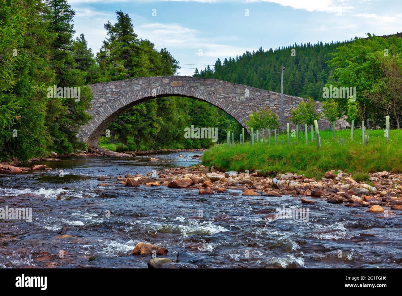 Vieux pont en pierre, pont de Gairnshiel, Carthie, Aberdeenshire, Écosse, Grande-Bretagne, Royaume-Uni Banque D'Images