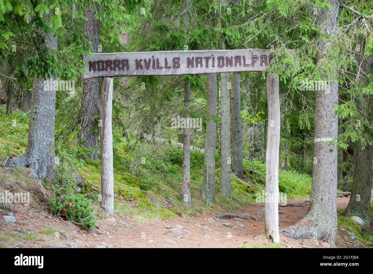 Parc national de norra kvill Banque de photographies et d’images à