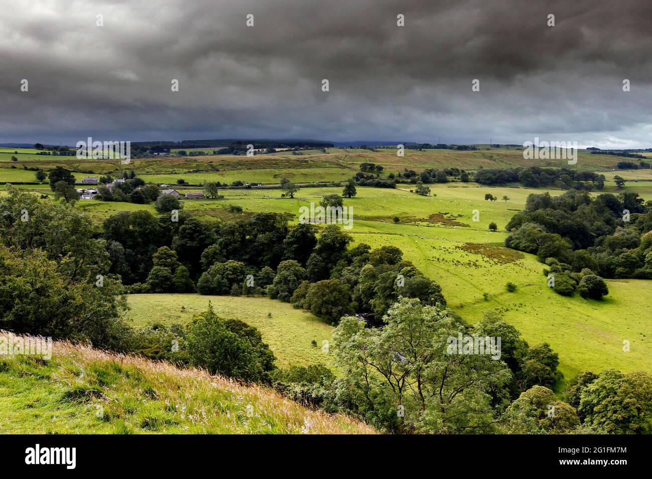 Hillside, Birdoswald, Gilsland, Brampton, ville de Carlise, Cumbria, Angleterre du Nord, Royaume-Uni Banque D'Images
