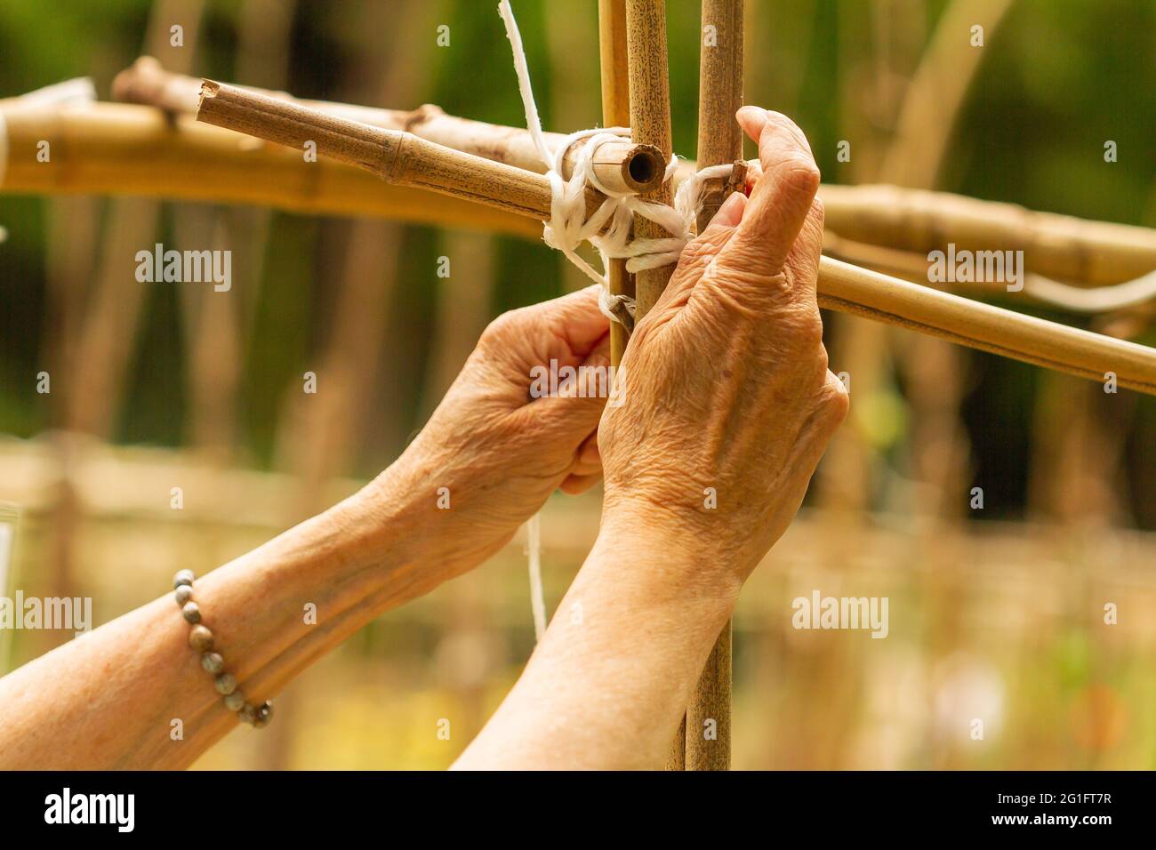 Mise au point sélective des mains d'une jardinière travaillant avec des