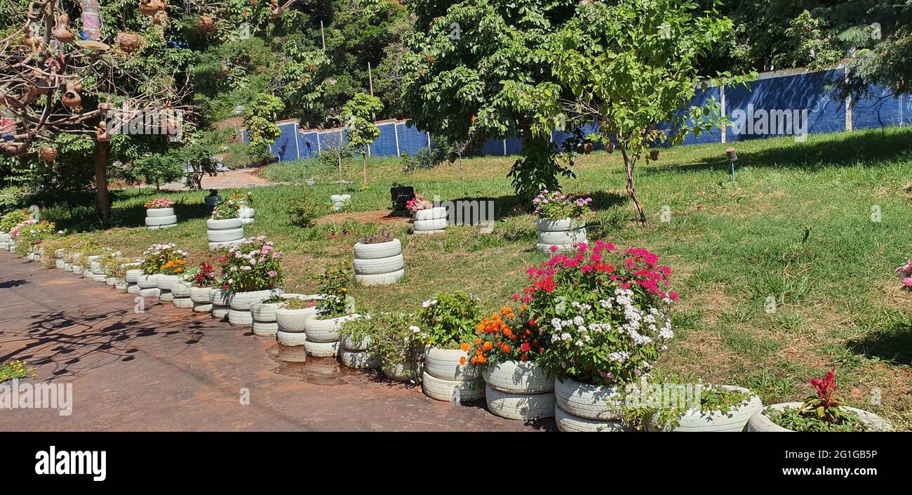 Jardin de fleurs coloré en matériaux recyclables. Style de vie simple et concept d'image verte consciencieuse. Banque D'Images