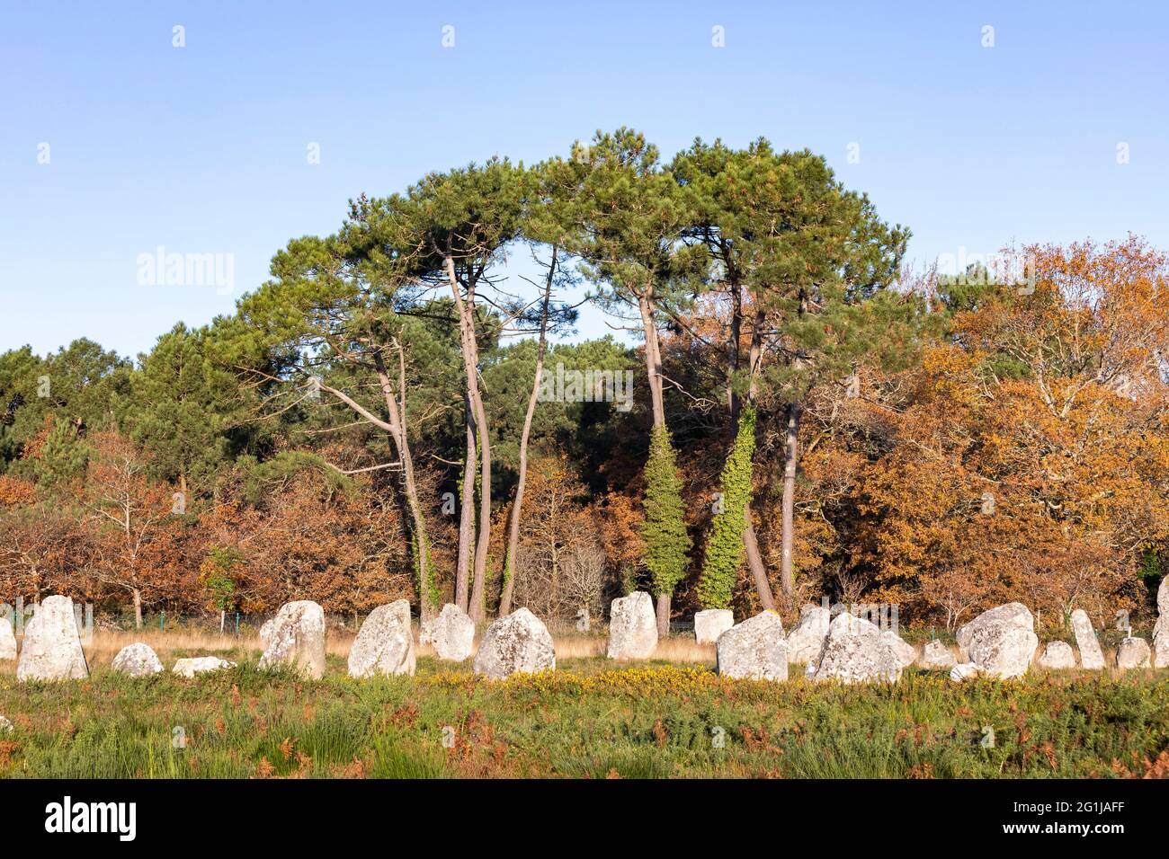 Carnac (Bretagne, Nord-Ouest de la France) : alignements mégalithiques du Kermario Banque D'Images