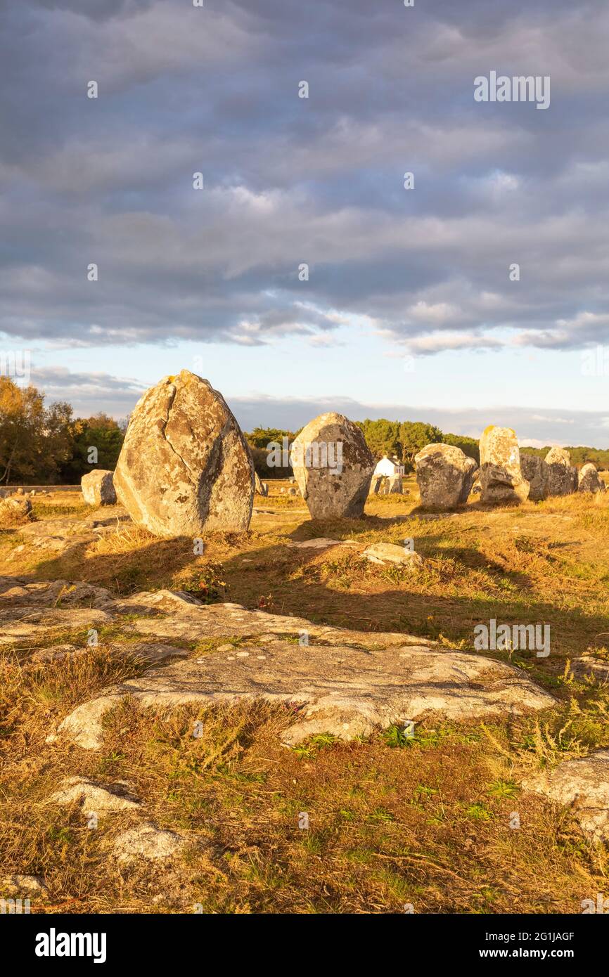 Carnac (Bretagne, Nord-Ouest de la France) : les pierres sur pied Menec Banque D'Images