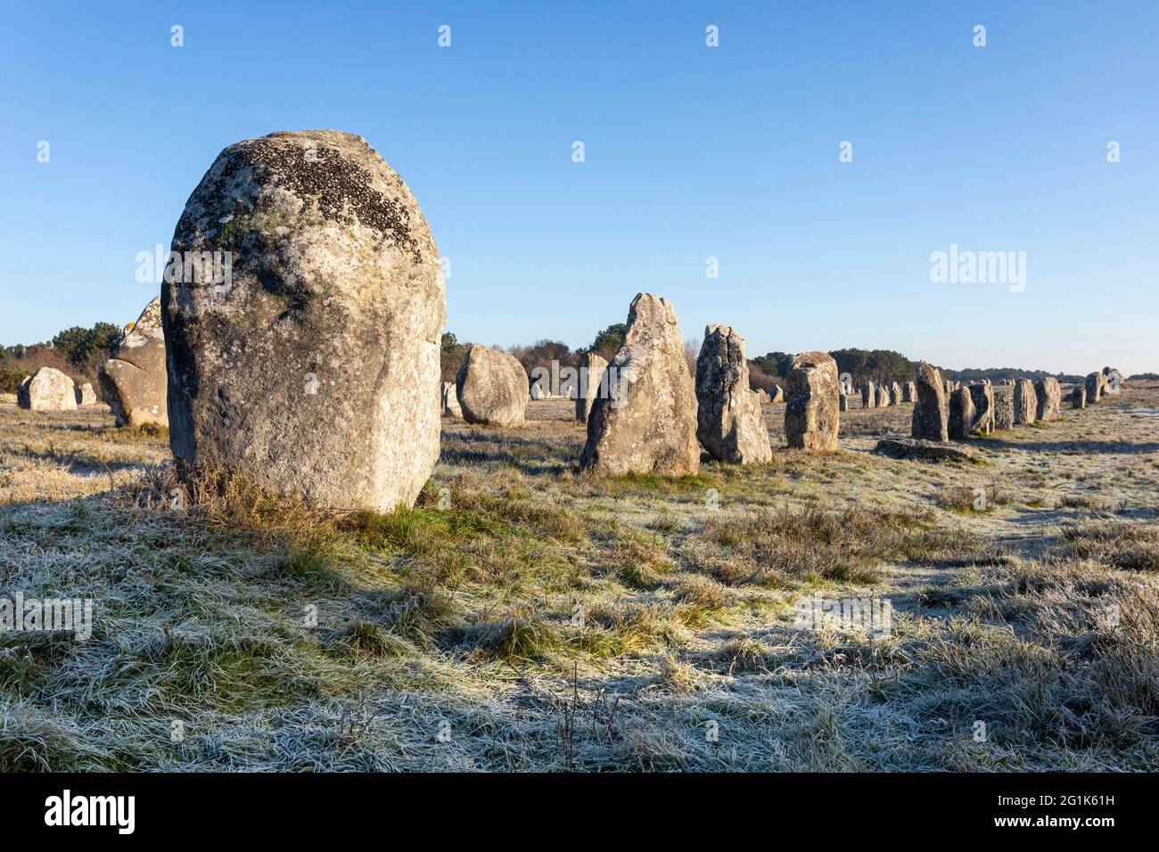 Carnac (Bretagne, Nord-Ouest de la France) : les pierres sur pied Menec Banque D'Images