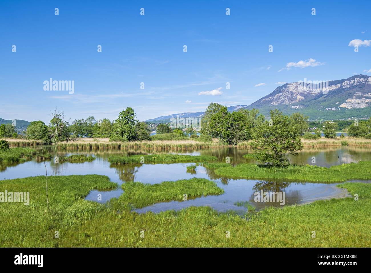 France, Savoie, le Bourget-du-Lac, rive sud du lac du Bourget, domaine de Buttet zone naturelle protégée sur les terrains du château Thomas II, l'étang d'Aigrettes Banque D'Images