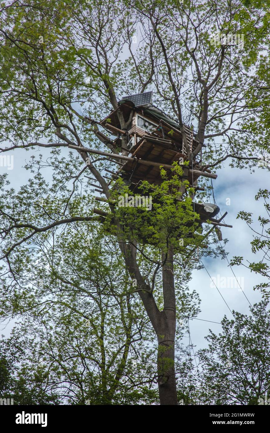 Maisons arborescentes habitées des activistes de la conservation de la nature dans la forêt de Hambach Banque D'Images