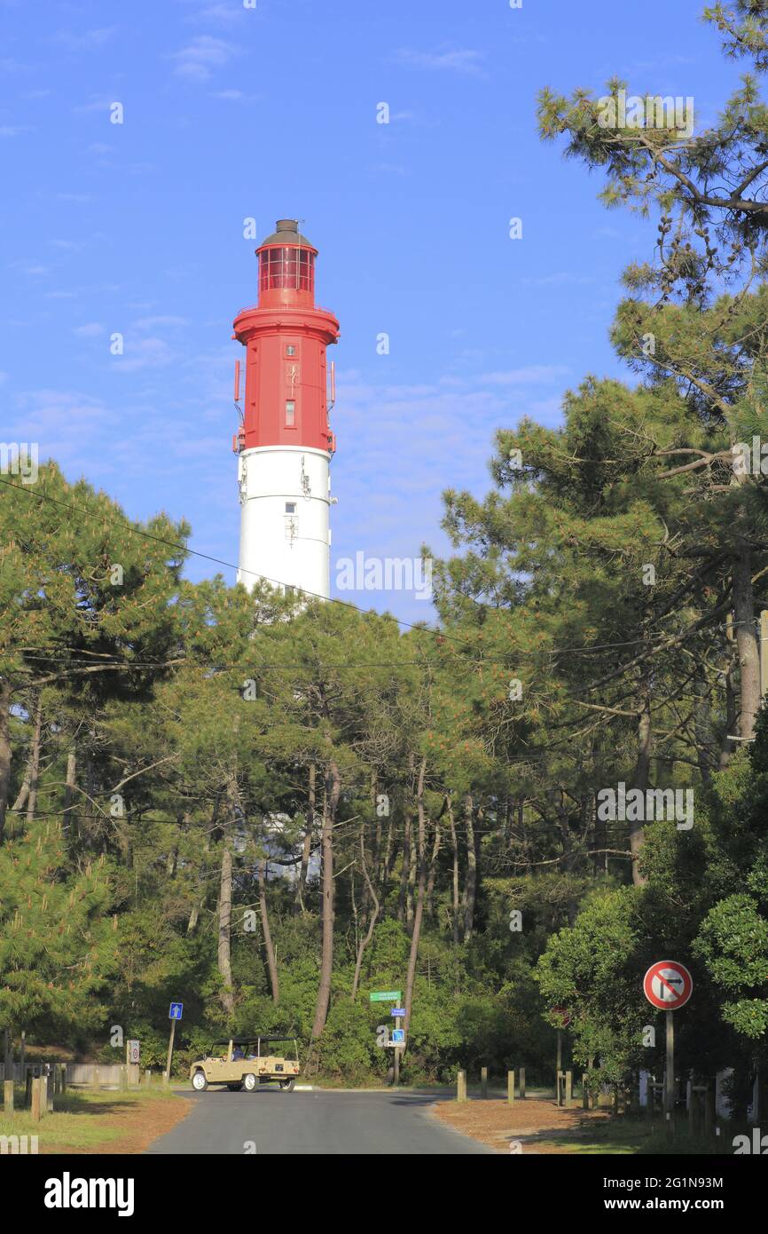 France, Gironde, bassin d'Arcachon, LGE-Cap-Ferret, citron Mhari avec le phare du Cap Ferret en arrière-plan, reconstruit en 1947 Banque D'Images