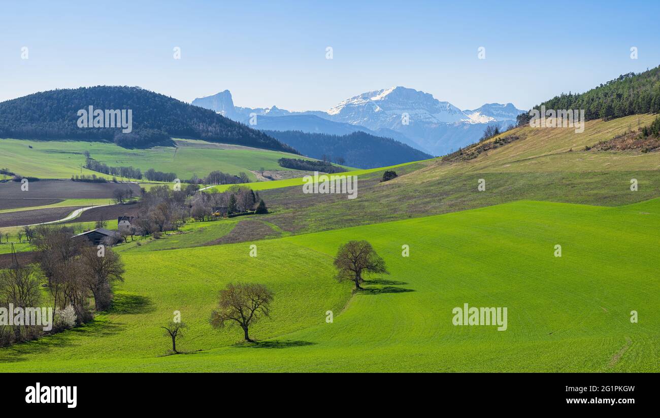 France, Isère, région de Trieves, environs de Mens, massif du Vercors en arrière-plan Banque D'Images