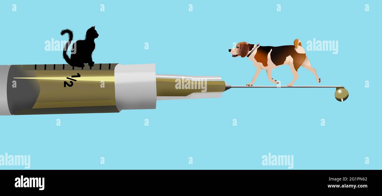 Parvo Virus Banque De Photographies Et D Images A Haute Resolution Alamy