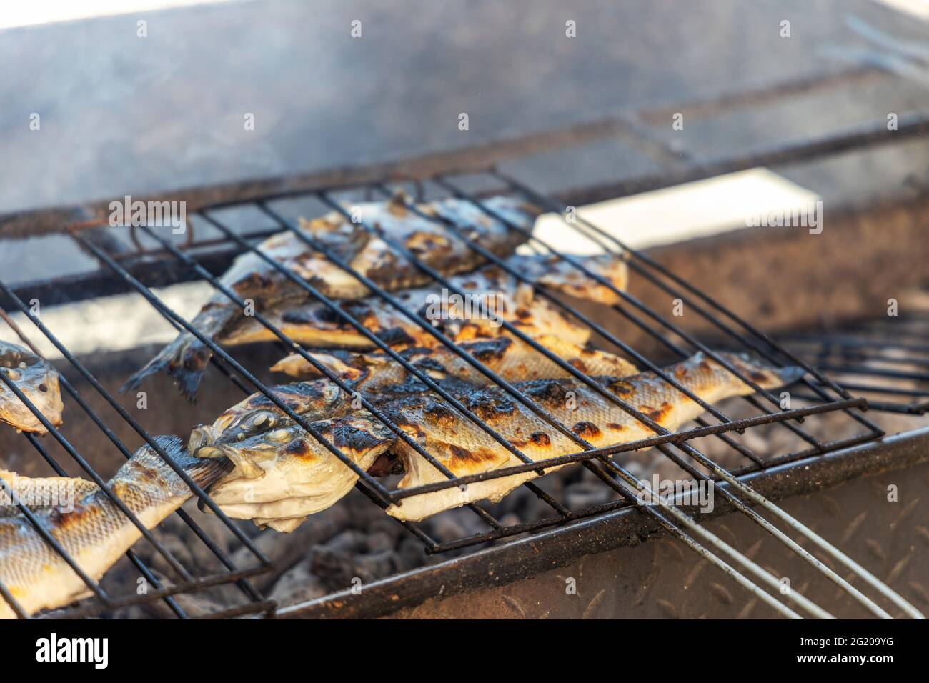 Délicieux bar de mer et poisson doré barbecue sur le charbon de bois au Portugal Banque D'Images