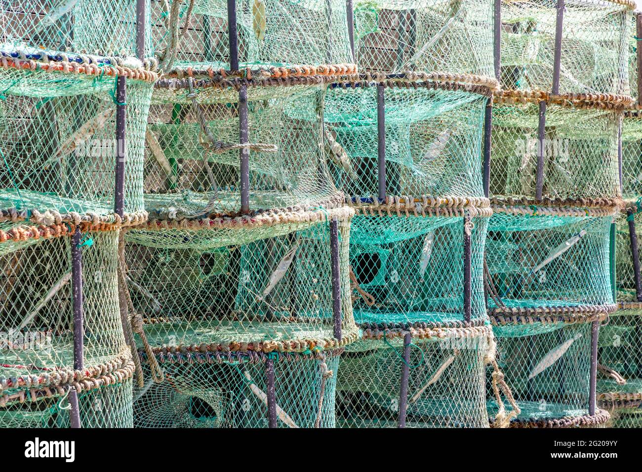Motif fait de pièges verts utilisés au Portugal pour attraper des pieuvres et des crabes Banque D'Images