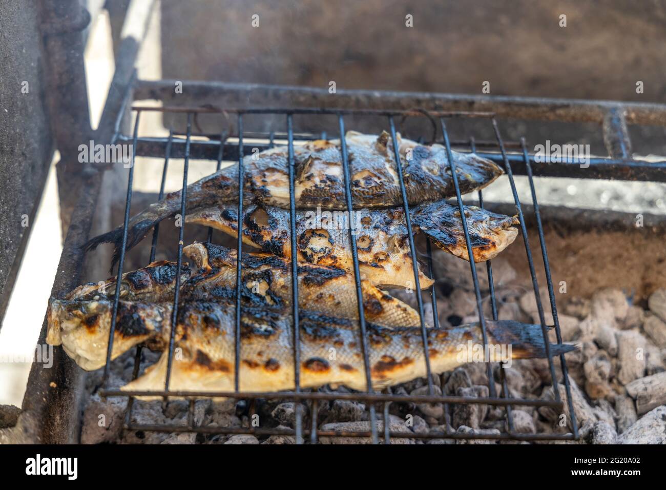 Délicieux bar de mer et poisson doré barbecue sur le charbon de bois au Portugal Banque D'Images