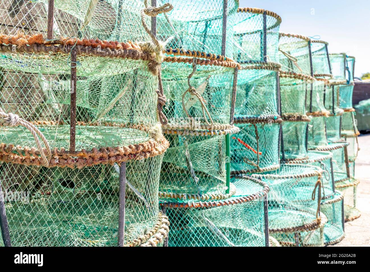 Motif fait de pièges verts utilisés au Portugal pour attraper des pieuvres et des crabes Banque D'Images