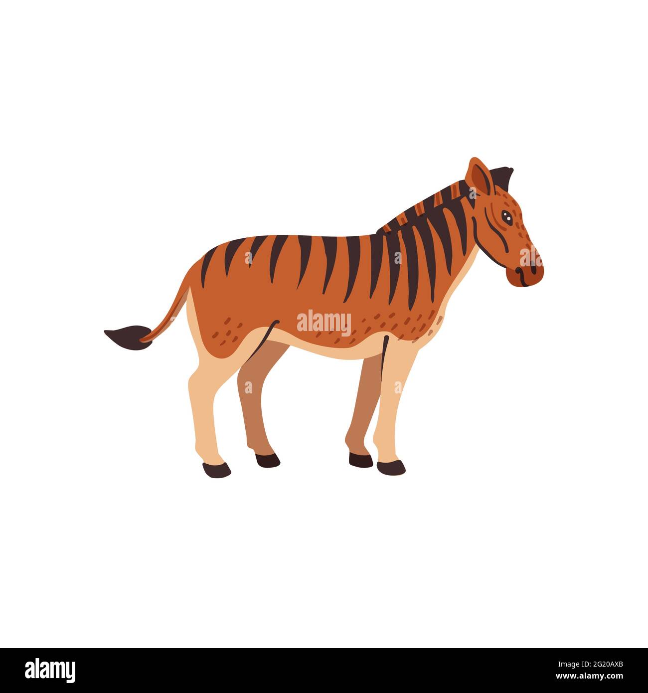 Animaux éteints. Quagga. Cheval rayé nord-américain éteint préhistorique, hybride de zèbre et de cheval. Illustration vectorielle de style plat isolée sur blanc Illustration de Vecteur