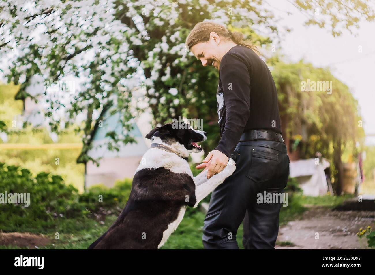 L'homme d'âge moyen rit et joue avec le chien dans l'arrière-cour. La vie rurale. La personne se réjouit avec l'animal de compagnie. Banque D'Images