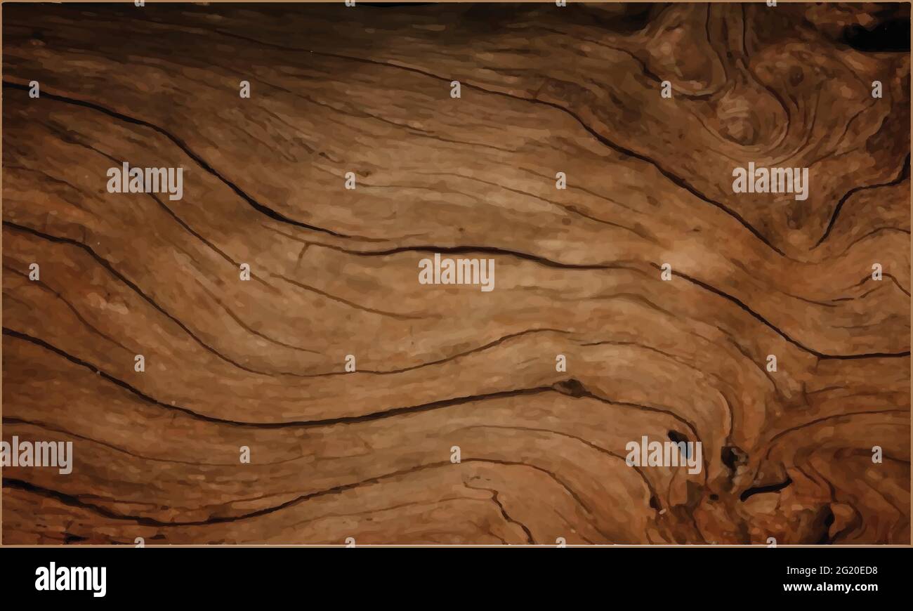 La texture de la surface du bois a été vectorisée Illustration de Vecteur