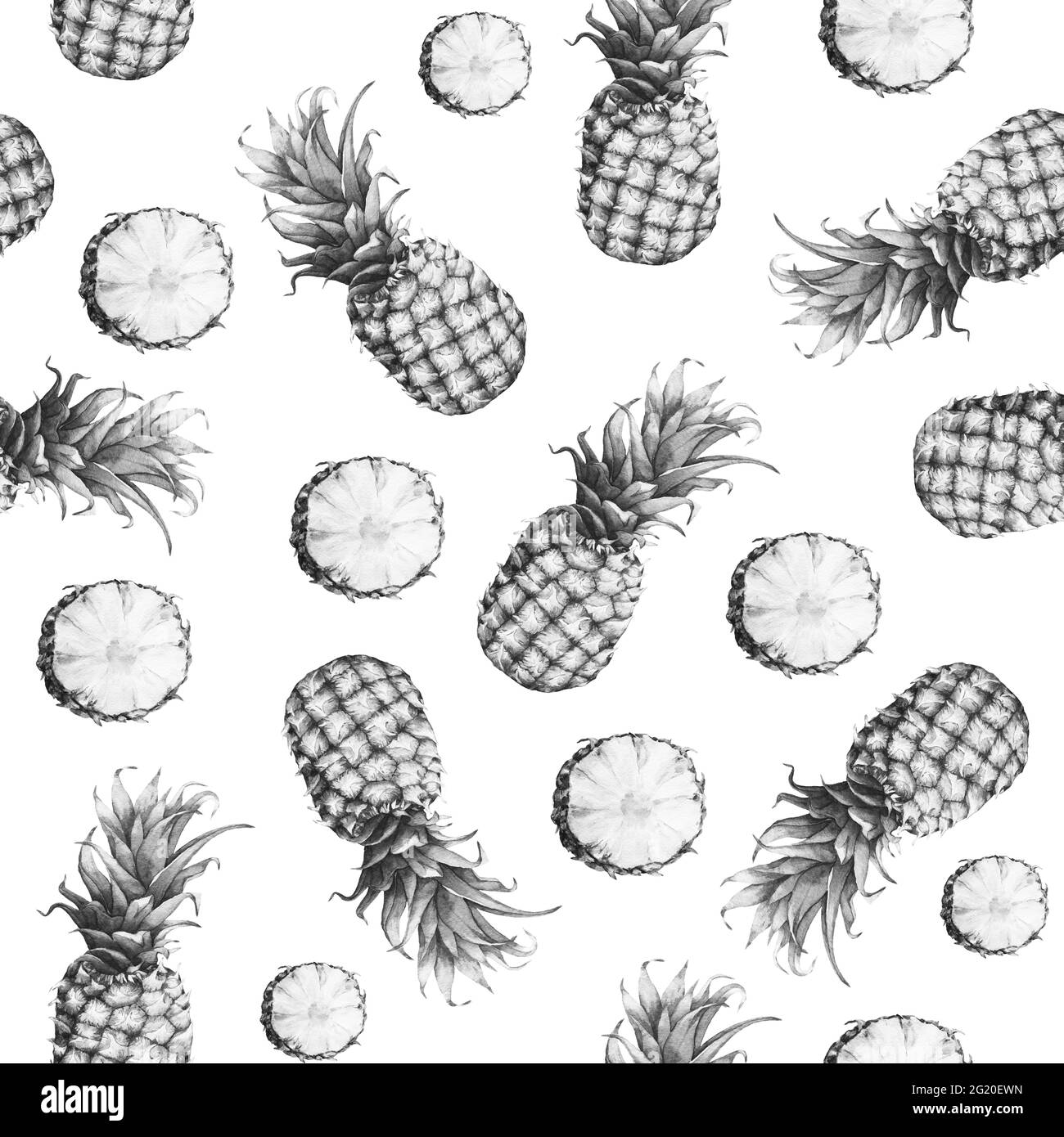 Motif monochrome gris sans couture d'ananas frais. Aquarelle dessinée à la main sur fond blanc. Banque D'Images