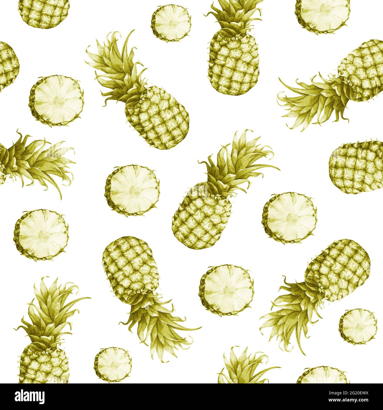 Motif vert monochrome sans couture d'ananas frais. Aquarelle dessinée à la main sur fond blanc. Banque D'Images