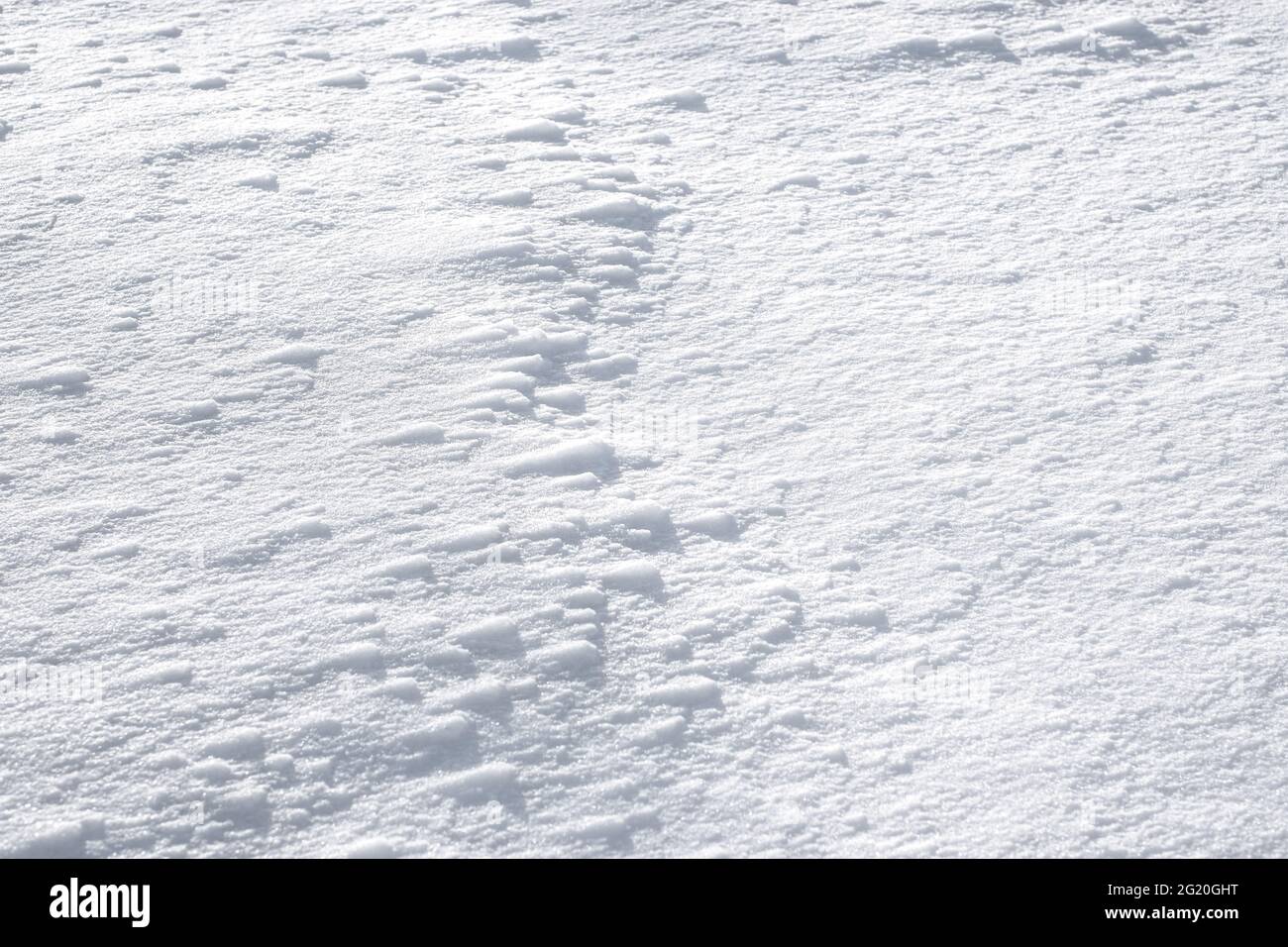 Sol blanc enneigé. La nature en hibernation pendant l'hiver. Banque D'Images