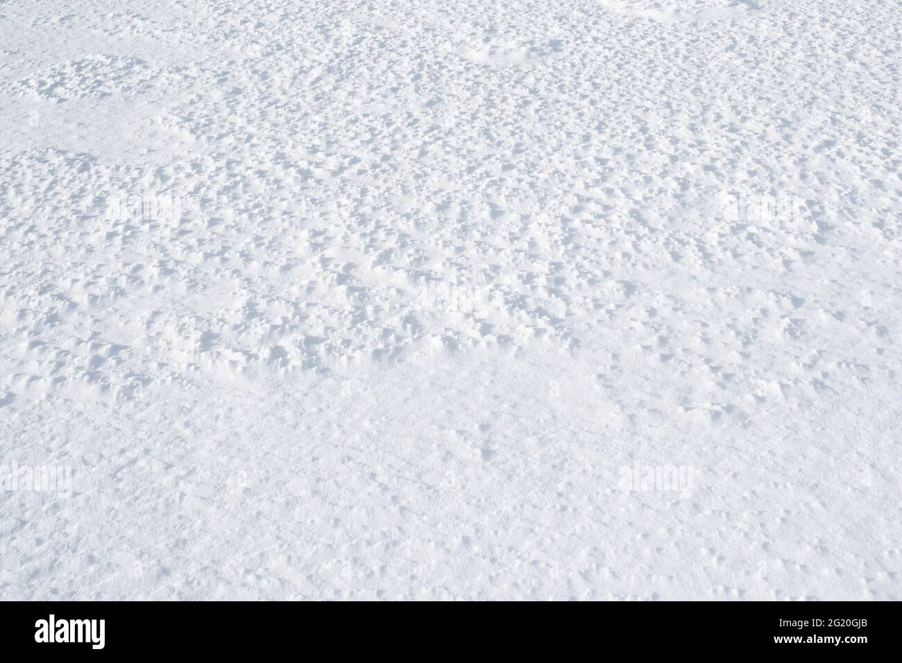 Sol blanc enneigé. La nature en hibernation pendant l'hiver. Banque D'Images