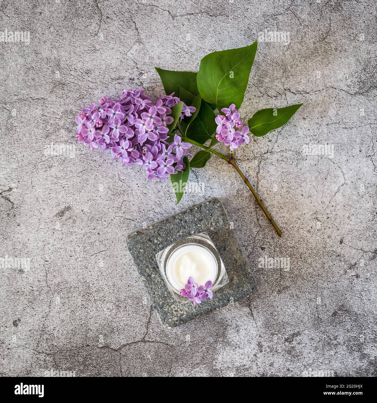 Fleurs composition cosmétique avec pot à la crème naturelle du visage et branche de lilas sur un fond gris texturé. Produits de beauté biologiques à base de plantes Banque D'Images Fleurs composition cosmétique avec pot à la crème naturelle du visage et branche de lilas sur un fond gris texturé. Produits de beauté biologiques à base de plantes Banque D'Images