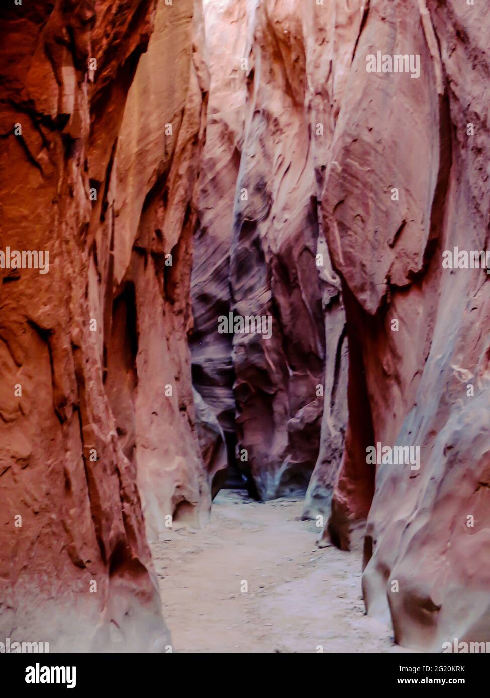 Gorge à fourche sèche, un petit canyon à fente sculpté dans le grès rougeâtre de Navajo Banque D'Images