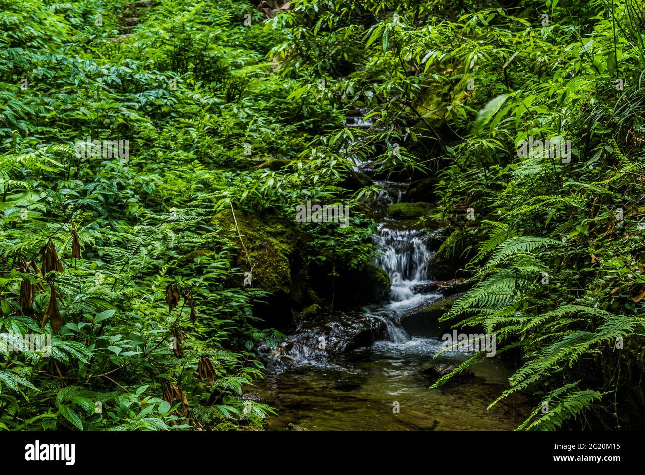 Les différentes vues de Jibhi Village Banque D'Images