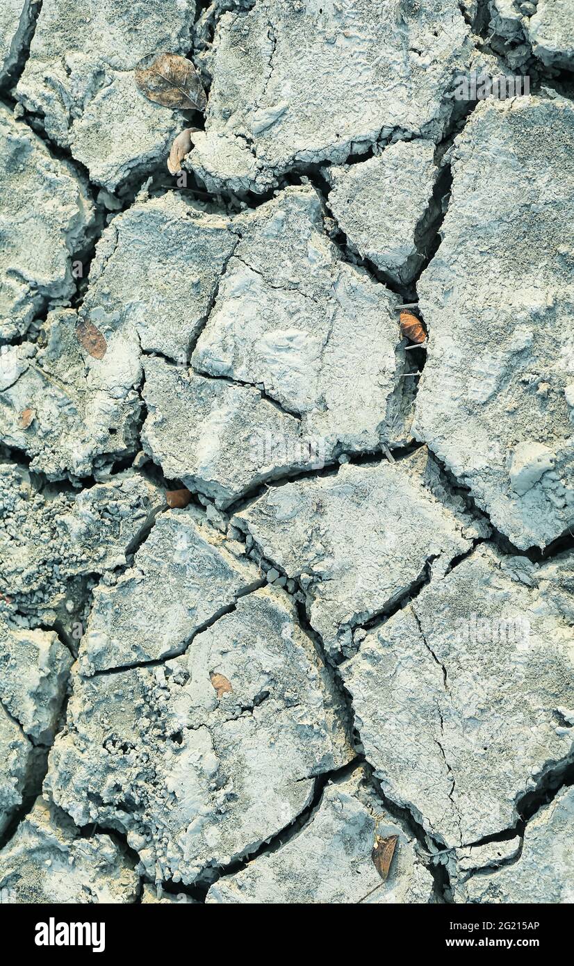 Gros plan de la terre sèche. Le fond est fissuré. Craquer les sols séchés lors de la sécheresse, affectés par le réchauffement climatique a fait changer le climat. Manque d'eau. Banque D'Images